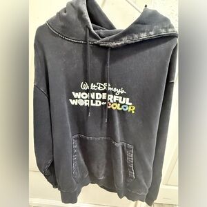Disney 100 anniversary hoodie